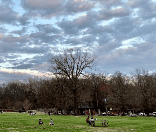 SAVED: a win for preservation of our Greensward