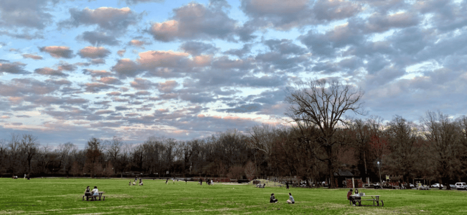 MHI-Overton-Park-1-920×425