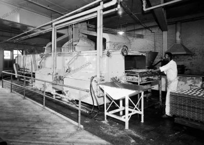 Interior of unidentified canning/bottling plant